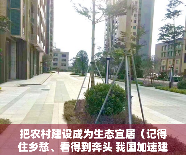 把农村建设成为生态宜居（记得住乡愁、看得到奔头 我国加速建设宜居宜业新农村）