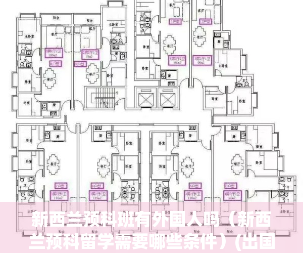 新西兰预科班有外国人吗（新西兰预科留学需要哪些条件）(出国留学新西兰预科班)