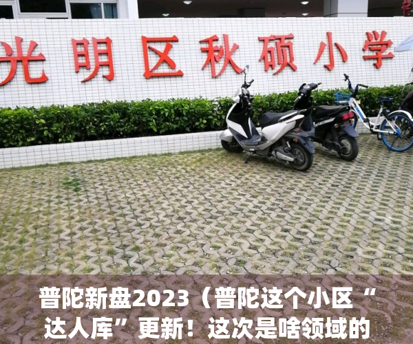 普陀新盘2023（普陀这个小区“达人库”更新！这次是啥领域的？）(普陀在售楼盘)