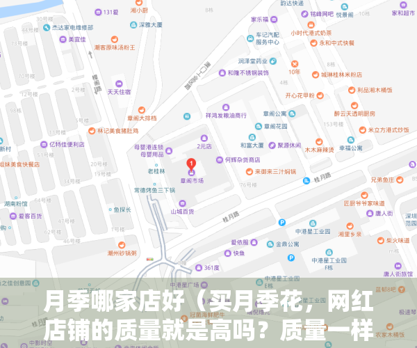 月季哪家店好（买月季花，网红店铺的质量就是高吗？质量一样，价格差10倍）