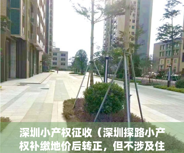 深圳小产权征收（深圳探路小产权补缴地价后转正，但不涉及住宅）(深圳小产权房征收)