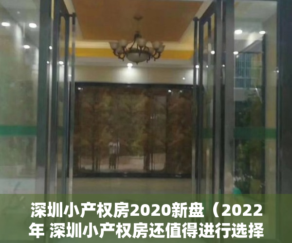 深圳小产权房2020新盘（2022年 深圳小产权房还值得进行选择吗？）