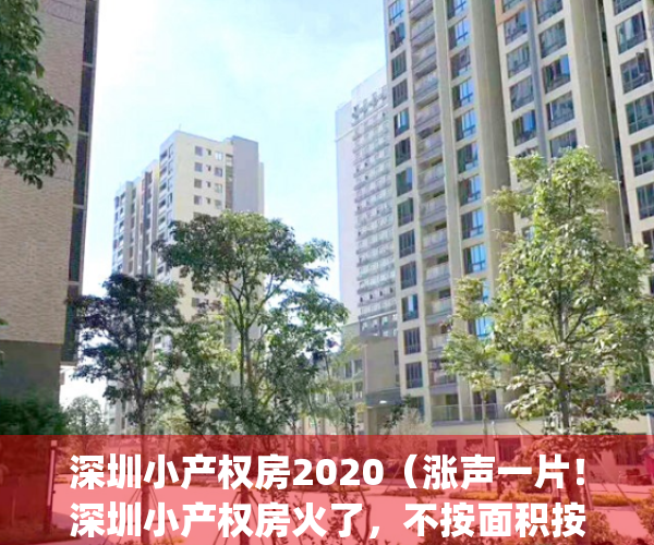 深圳小产权房2020（涨声一片！深圳小产权房火了，不按面积按套卖！）(2021年深圳小产权房新政)