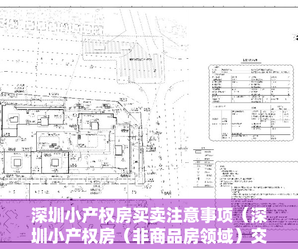 深圳小产权房买卖注意事项（深圳小产权房（非商品房领域）交易要注意这些问题，小心人财两空）