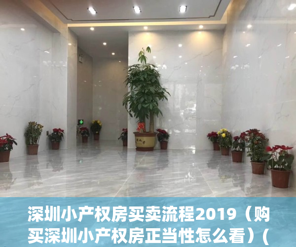 深圳小产权房买卖流程2019（购买深圳小产权房正当性怎么看）(深圳小产权房购买要注意哪些问题)