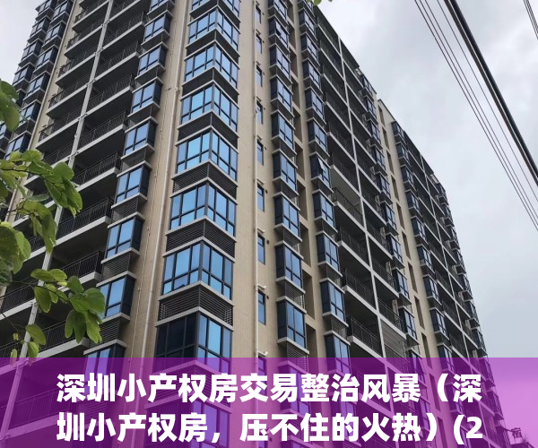 深圳小产权房交易整治风暴（深圳小产权房，压不住的火热）(2021年深圳小产权房怎么处理)