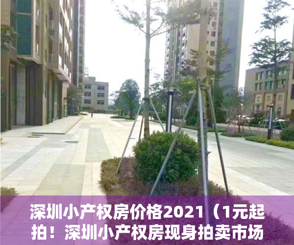 深圳小产权房价格2021（1元起拍！深圳小产权房现身拍卖市场，是掉馅饼还是营销噱头？）