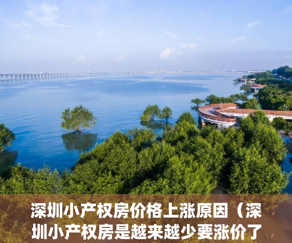 深圳小产权房价格上涨原因（深圳小产权房是越来越少要涨价了？）(深圳小产权房涨价了吗)