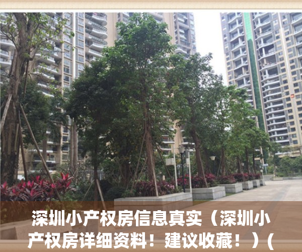 深圳小产权房信息真实（深圳小产权房详细资料！建议收藏！）(2021年深圳小产权房政策解读)