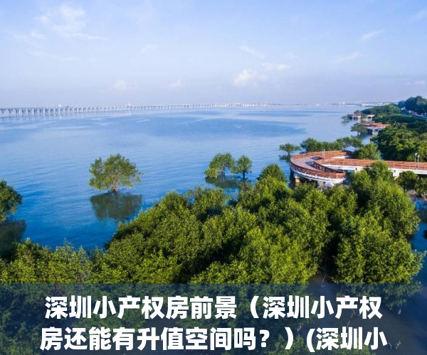 深圳小产权房前景（深圳小产权房还能有升值空间吗？）(深圳小产权房现状)