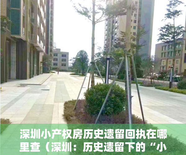 深圳小产权房历史遗留回执在哪里查（深圳：历史遗留下的“小产权房” 一文看懂！）