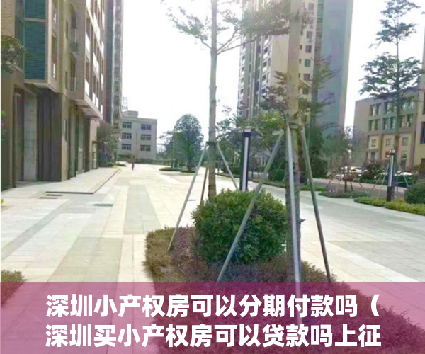 深圳小产权房可以分期付款吗（深圳买小产权房可以贷款吗上征信吗？）