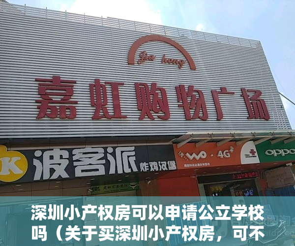 深圳小产权房可以申请公立学校吗（关于买深圳小产权房，可不可以上公立学校👇👇👇👇👇）