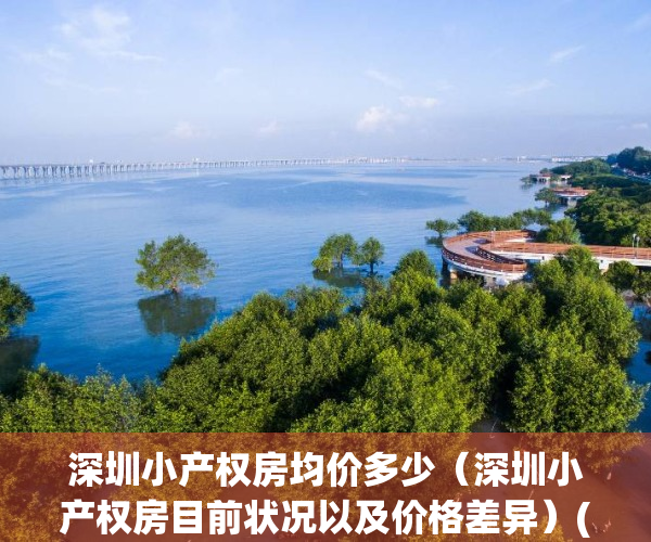 深圳小产权房均价多少（深圳小产权房目前状况以及价格差异）(深圳小产权价格趋势)