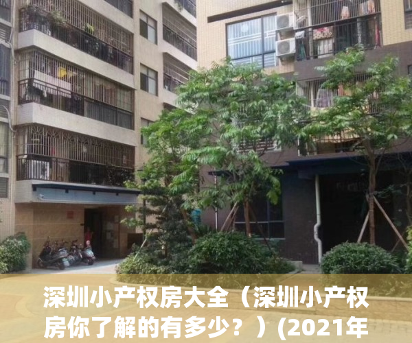 深圳小产权房大全（深圳小产权房你了解的有多少？）(2021年深圳小产权房政策解读)