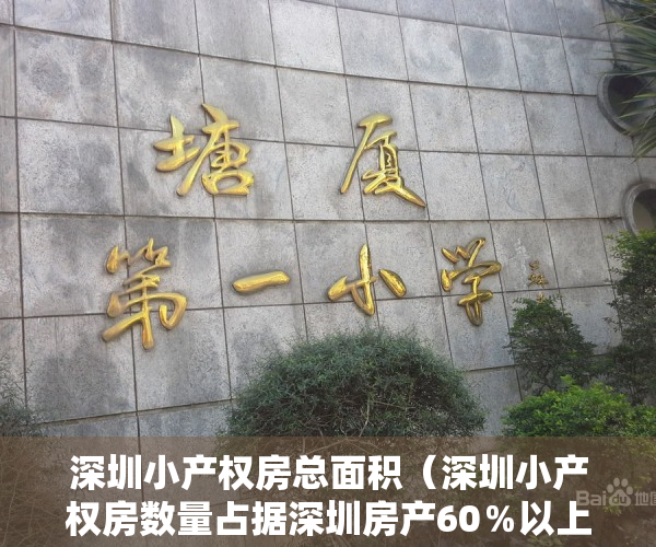 深圳小产权房总面积（深圳小产权房数量占据深圳房产60％以上，解决了深圳许多人的住房问题）