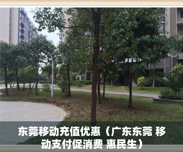 东莞移动充值优惠（广东东莞 移动支付促消费 惠民生）