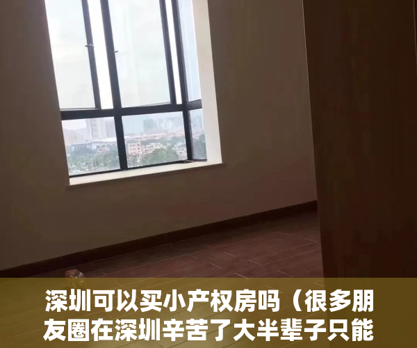 深圳可以买小产权房吗（很多朋友圈在深圳辛苦了大半辈子只能买小产权，让我来看看究竟看看值不值）