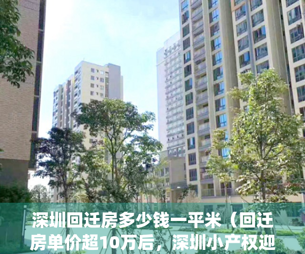 深圳回迁房多少钱一平米（回迁房单价超10万后，深圳小产权迎来重锤）(深圳回迁房值钱吗)