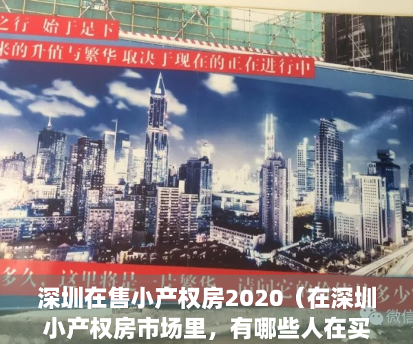 深圳在售小产权房2020（在深圳小产权房市场里，有哪些人在买卖？）(2021年深圳小产权房能买吗)