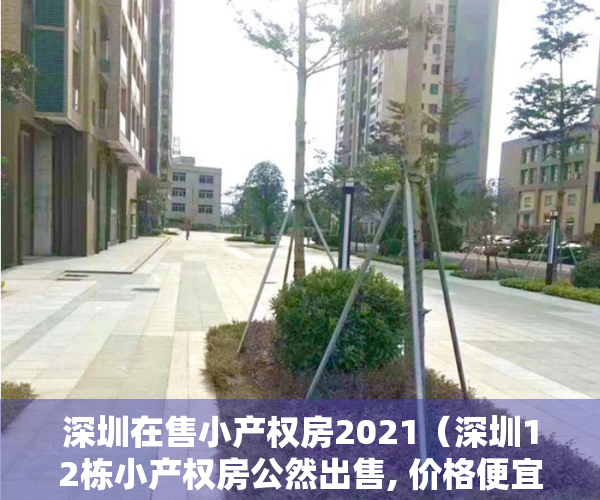 深圳在售小产权房2021（深圳12栋小产权房公然出售, 价格便宜但是房子保障在那里）