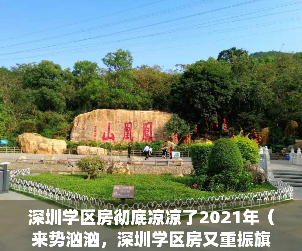 深圳学区房彻底凉凉了2021年（来势汹汹，深圳学区房又重振旗鼓了）(炸锅!深圳一处学区房3个月暴跌40%)