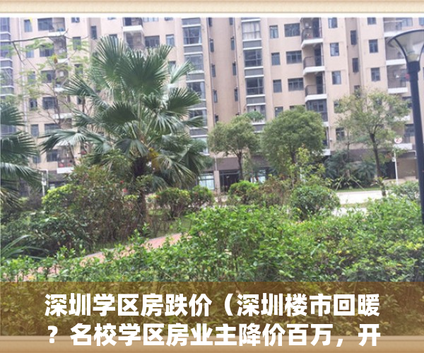 深圳学区房跌价（深圳楼市回暖？名校学区房业主降价百万，开发商卖房送特斯拉）