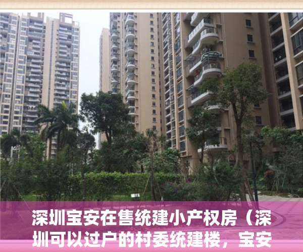 深圳宝安在售统建小产权房（深圳可以过户的村委统建楼，宝安大型村委小产权房小区《众和花园》小区门口是茅洲河景观湿地公园可以落户，读公立燕山学校，前进公社买房）