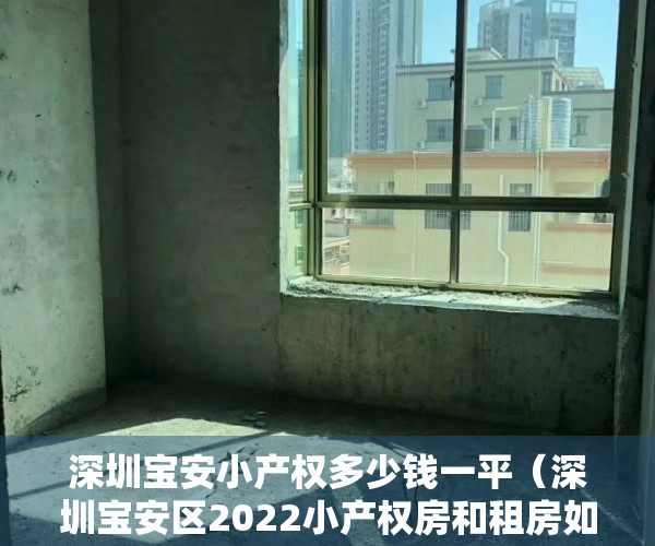 深圳宝安小产权多少钱一平（深圳宝安区2022小产权房和租房如何申请学位？）