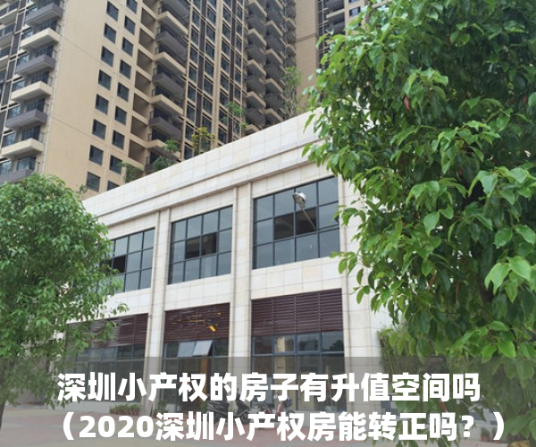 深圳小产权的房子有升值空间吗（2020深圳小产权房能转正吗？）(深圳小产权走向)