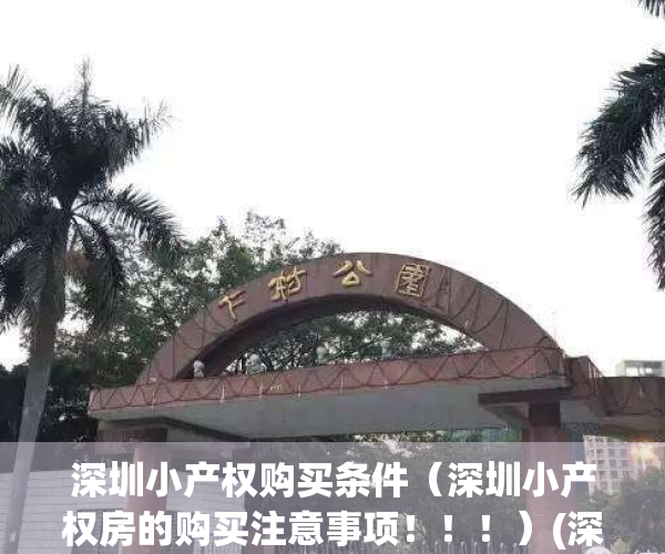 深圳小产权购买条件（深圳小产权房的购买注意事项！！！）(深圳小产权房买房条件)