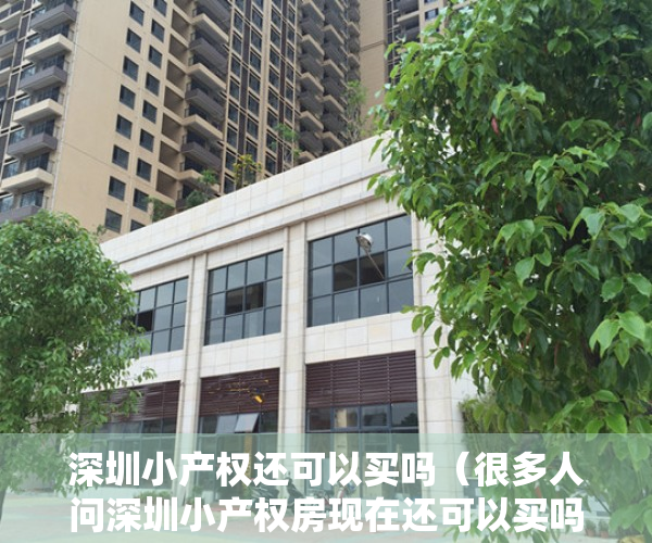 深圳小产权还可以买吗（很多人问深圳小产权房现在还可以买吗，值得深思）