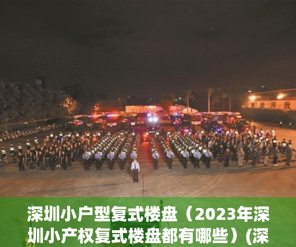 深圳小户型复式楼盘（2023年深圳小产权复式楼盘都有哪些）(深圳小复式楼盘二手)