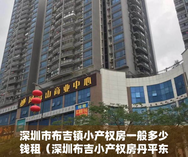 深圳市布吉镇小产权房一般多少钱租（深圳布吉小产权房丹平东《嘉宸公馆》万科集团旧改规划中 3号线丹竹头地铁口 直达平湖福田罗湖南山 布吉高级中学，沙湾中学，沙西小学）