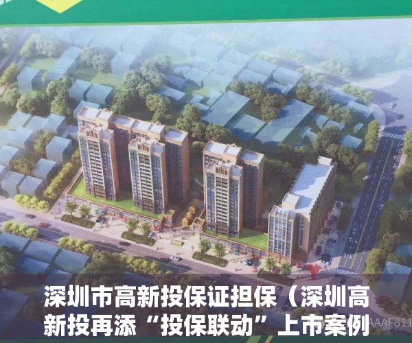 深圳市高新投保证担保（深圳高新投再添“投保联动”上市案例：“小巨人”凌雄科技今日登陆港交所主板）