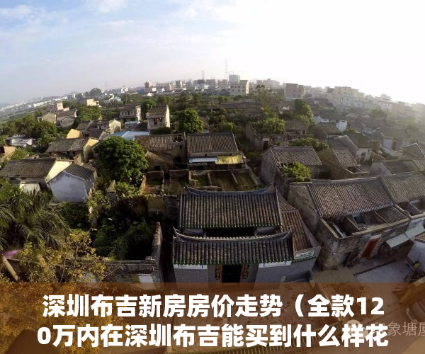 深圳布吉新房房价走势（全款120万内在深圳布吉能买到什么样花园社区房子？）