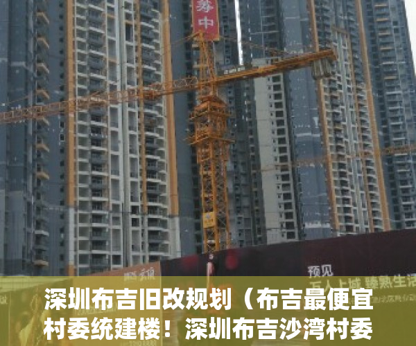 深圳布吉旧改规划（布吉最便宜村委统建楼！深圳布吉沙湾村委统建楼小产权房「天誉花园」封闭式花园小区房 原始户型使用率高的村委房，通燃气 带地下停车场）