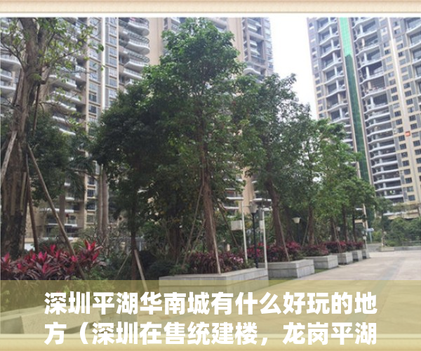 深圳平湖华南城有什么好玩的地方（深圳在售统建楼，龙岗平湖华南城·和枫公馆，华南城260万㎡商贸大城全系配套 集体大红本性质 10号线华南城地铁站 深圳小产权交易）