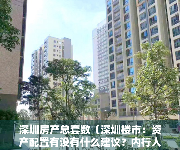 深圳房产总套数（深圳楼市：资产配置有没有什么建议？内行人告诉你答案）