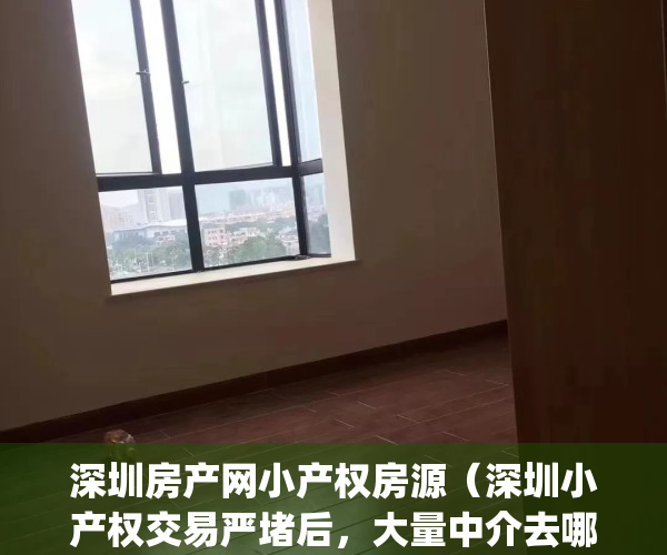 深圳房产网小产权房源（深圳小产权交易严堵后，大量中介去哪儿了？）(深圳小产权房交易市场)