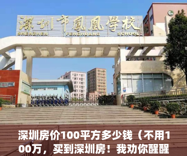 深圳房价100平方多少钱（不用100万，买到深圳房！我劝你醒醒！）(深圳100w的房子)