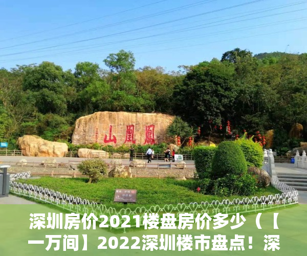 深圳房价2021楼盘房价多少（【一万间】2022深圳楼市盘点！深圳不关心房价，只想“先行先试”房地产改革）