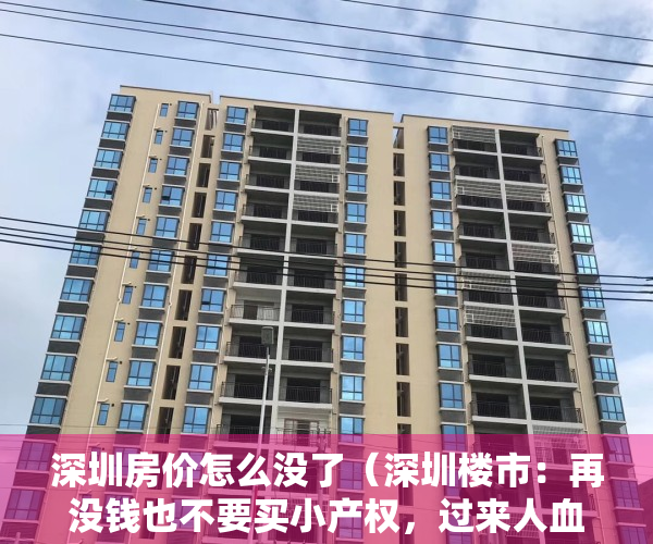 深圳房价怎么没了（深圳楼市：再没钱也不要买小产权，过来人血淋淋的教训）