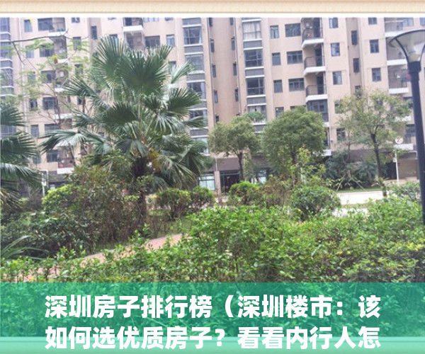 深圳房子排行榜（深圳楼市：该如何选优质房子？看看内行人怎么说）(深圳现在最好的地段房产)