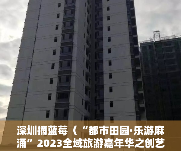 深圳摘蓝莓（“都市田园·乐游麻涌”2023全域旅游嘉年华之创艺蓝莓采摘季）