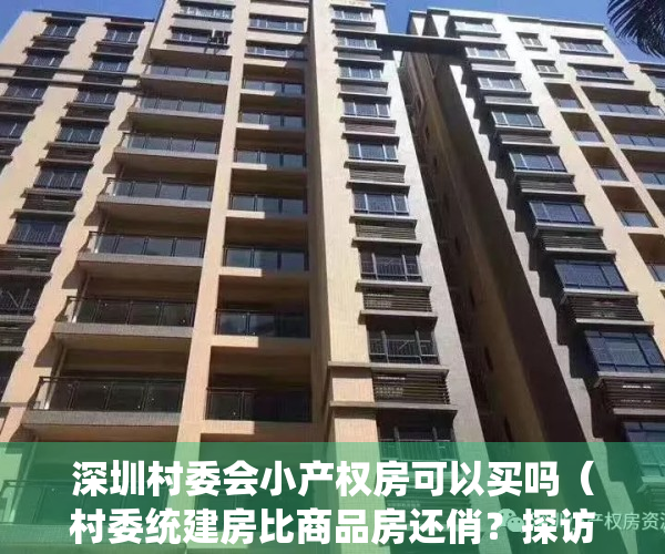 深圳村委会小产权房可以买吗（村委统建房比商品房还俏？探访深圳小产权房最大聚集地（附提醒））