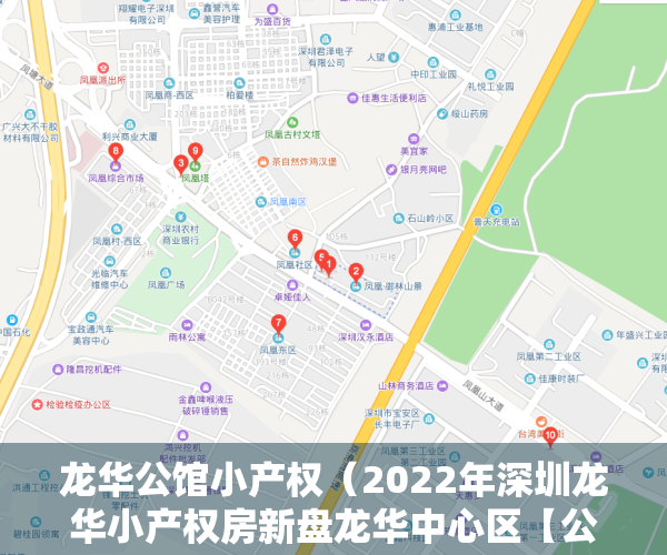 龙华公馆小产权（2022年深圳龙华小产权房新盘龙华中心区【公园大地】03户型）