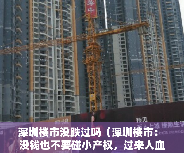 深圳楼市没跌过吗（深圳楼市： 没钱也不要碰小产权，过来人血的教训）