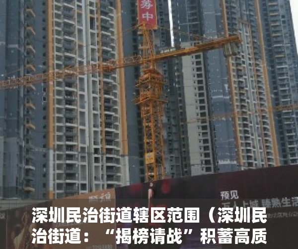 深圳民治街道辖区范围（深圳民治街道：“揭榜请战”积蓄高质量发展新势能）