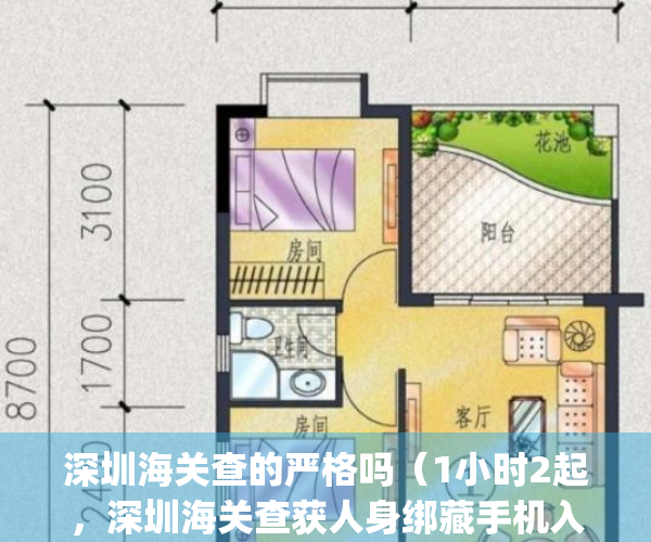 深圳海关查的严格吗（1小时2起，深圳海关查获人身绑藏手机入境案）(深圳海关查验)